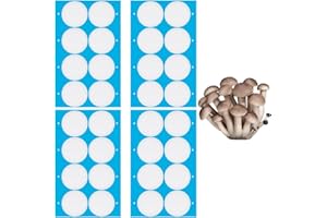 GORGECRAFT 32pz 4 fogli di Carta per Barattoli di Vetro A Bocca Larga Da 59mm Nastro Adesivo Sintetico Autoadesivo Disco Filtrante Da 0.3μm per La Coltivazione di Funghi Coperchi di Barattoli di Vetro