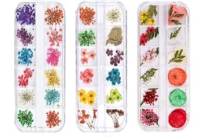 MOGUXB Flor Secada de Uñas 3cajas Flores Secas de Arte de Uñas Multicolores Flores Prensadas Secas Natural Flores Secas para Resina,Vela de Bricolaje,Arte de Uñas,Fabricación de Artesanías
