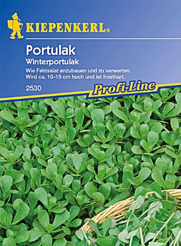 Sperli Gemüsesamen Portulak Winterportulak, grün