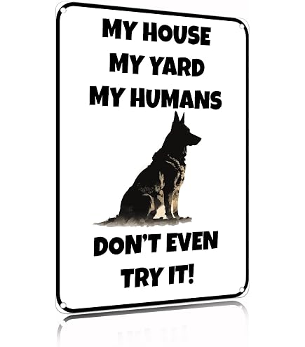 Hundeschild Für Haustür – 'Beware Of Dog' Warnschild Aus Holz – 30x14 Cm Zum Aufhängen Oder Hinstellen