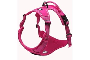 TrueLove Dog Harness TLH5651 No-pull Reflective Stitching Ensure Night Visibility, Outdoor Adventure Big Dog Harness Perfect Match Puppy Vest (Fushcia,M)