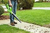 Greenworks Tools 24227 Cordless Brushless Blower, 40 V, Green