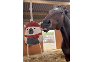 Ruggles Horse Stable Toy | Boredom buster for horse pony donkey (Humphrey)