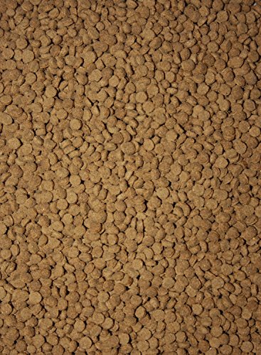 Saito Professional 2kg Futter Koi 3,0mm - 4