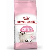 Royal Canin Kitten Yavru Kedi Maması 10Kg