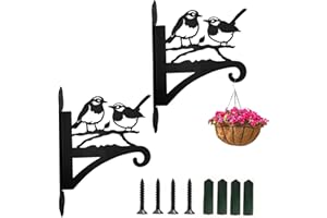 Zengjunwei 2pcs Supports Panier À Suspendre, Hanging Plant Holder, Supports Jardin Suspendus Cintres Pot Fleur Avec Vis, Pour Lanternes, Paniers Suspendus, Cages À Oiseaux (Deux oiseaux B)