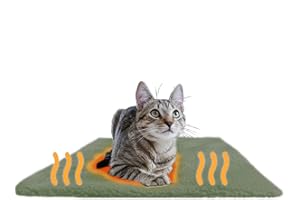 PiuPet® Panier Chat Coussin Auto-Chauffant I 60x45cm I sans électricité I Coussin Chat I Tapis I Innovant & écologique I Couchage et mobilier pour Chats | Tapis pour Chat (Vert)