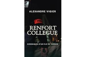 RENFORT COLLÈGUE: Chroniques d’un flic de terrain
