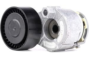 Ina 534 269 10 Tendicinghia