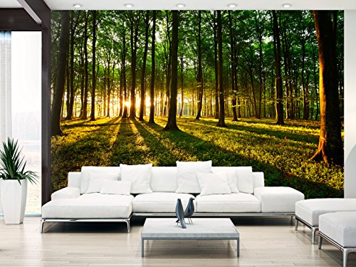 Vlies Fototapete 300×210 cm – 3 Farben zur Auswahl – Top Tapete Wandbilder XXL Wandbild Bild Fototapeten Tapeten Wandtapete Wald Natur Landschaft Bäume c-B-0127-a-b - 3