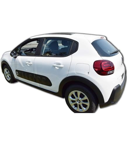J&J AUTOMOTIVE | Heko Deflecteurs D'air Déflecteurs De Vent Compatible Avec C3 769096