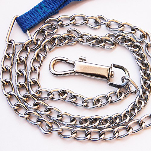 Metal-Dog-Chain-With-Blue-Fabric-Handle-Enables-You-To-Complete-Control-on-Your-Pet