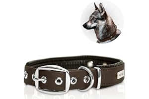 PetTec® Trioflex - Collare per Cani - Adatto per Taglie Piccole, Medie e Grandi - Collare Cane Confortevole e Resistente - Ideale per Pitbull, Bulldog Francese, Retriever - Collari per Cuccioli e Cani
