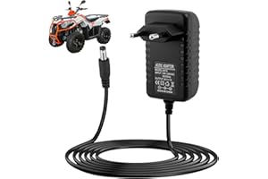 BUZUYIWAR 12 V 1 A Ladegerät für Elektroauto für Kinder, Batterieladegerät für SUV, ATV, Motorrad, Quad, elektrisch, Kinder