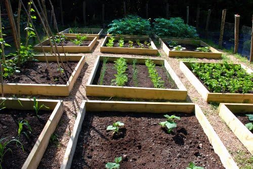The Baking Girls - Raised Beds Vegetable Garden Plot A4 Patterned Edible Icing Sheet Cake Topper