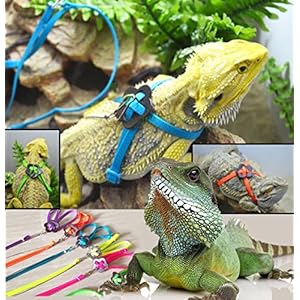 zantec Generic verstellbar Reptile Eidechse Harness Leine verstellbaren Multicolor Light Soft Fashion (grün)