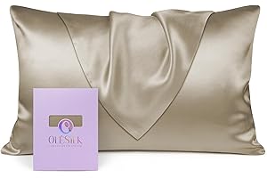 OLESILK Taie d'oreiller en Soie Naturelle de mûrier 19 Mommes: Prend Soin de Votre Peau et Moins de Perte de Cheveux - Taupe, 50x70cm, 1 Pièce