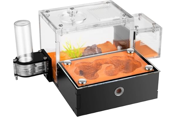 Rimsunta Formicarium - Habitat de Ferme pour Fourmis Vivantes et Reines - Kit Éducatif pour Étudier le Comportement