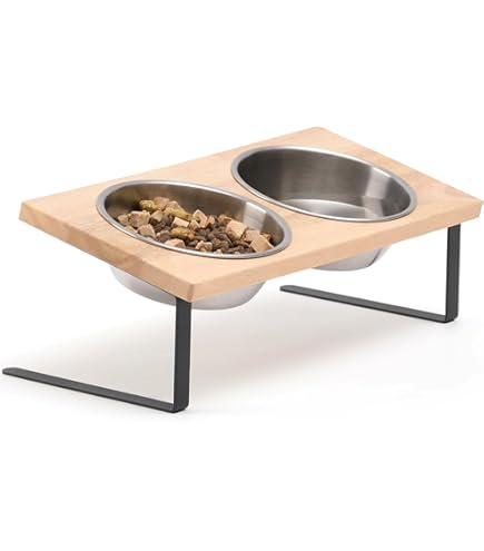 Avmvnvc Verhoogde kattenkom, dubbele kom voor katten en honden, van