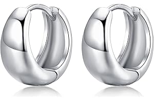 ITESSY Chunky Hoop Earrings, Sterling Silver Hoop Earrings for Women│Small Hypoallergenic Hinged Gold Silver Hoops Earrings Jewellery for Girls Men│Available Size in 8mm/10mm/12mm