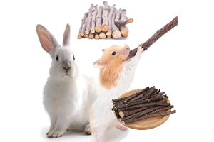 ZDL Äpple Snackspinnar för husdjur, naturliga äppelpinnar, naturlig äpple gren tugga, för marsvin, chinchilla, ekorre kaniner