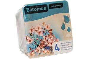 MOERINGS Complete Waterplants Pond Plant Kit - Butomus