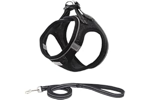 Suredoo Hundegeschirr mit Leine Anti Zug Geschirr Reflektierend Brustgeschirr für Kleine Hunde, Haustiere, Welpen, Katzen (Schwarz, S)