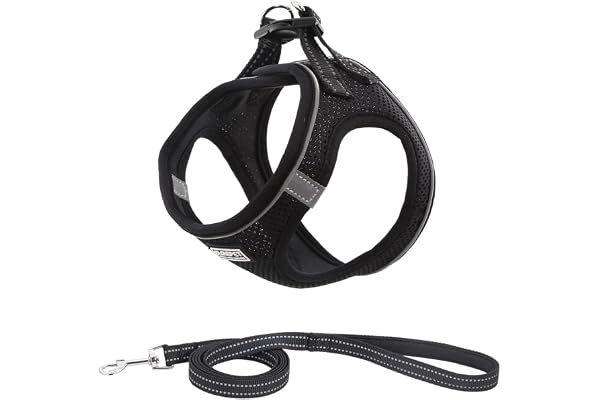 Suredoo Harnais Chien Réfléchissant Respirant avec Laisse, Step-in Harnais pour Chiens Chats, Gilet Rembourré Confort Mesh Doux pour Petite Chiens pour Marcher, Courir, Formation (XXS, Noir)