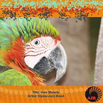 Gwe Manetu Vijana Jazz Band Amazon De Mp3 Downloads Nilitaka iwe siri, dibweze zogolo jangu, magdalena, unatingisha kibiriti, koka switch browsers or download spotify for your desktop. amazon de