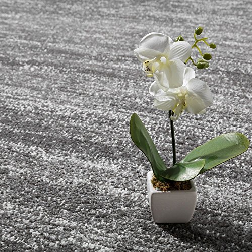 Teppich Modern Wohnzimmer Kurzflor Gemütlich Preiswert Meliert in Grau Creme, Grösse:60×100 cm - 3