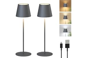 FUYO 2 pezzi Lampada da tavolo senza fili touch lampada da tavolo LED a batteria dimmerabile 3000-6000K con funzione di memoria, IP54 impermeabile per interni esterni camera da letto (Grigio)