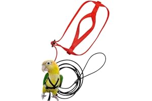 Basisago Oiseau Harnais Réglable,Harnais et Laisse Réglables Anti-Morsure pour Oiseaux Perroquet Gris du Gabon cacatoès Collier Jaune Perruche Calopsitte Elégante,S//L
