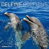 Delfine 2014 Broschürenkalender by 