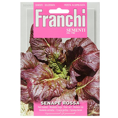 Franchi Red Mustard Senape Rossa