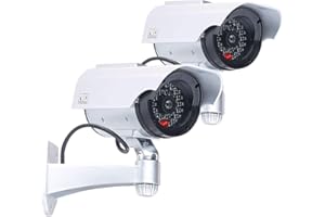 VisorTech 2 caméras de Surveillance solaires factices avec Signal LED