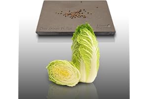 LE GRENIER D'ABONDANCE LES GRAINES QUI DONNENT ENVIE 100 graines à semer - Le Grenier d'Abondance - CHOU Chinois Pé Tsaî Amélioré - Brassica rapa