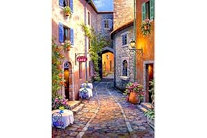 DCIDBEI DIY 5D Square Diamond Painting Kit de Pintura de Diamante Cuadrado para Manualidades y Manualidades Punto de cruz Diamante Mosaicos Manualidades Decoración del hogar para Adultos 40 x 50 cm