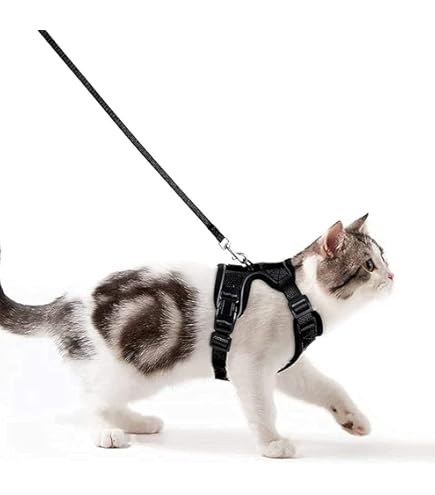 Harnais Chat Petit Chien Laisse Harnais Chaton Réglable Vert XS Collier Harnai Chat Refléchissant Gilet Respirant Pour Lapin, Chat Européen, Maine Coon, Persan, Attache Dessus Avec Laisse-Ensoleillé