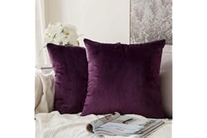 MIULEE Lot de 2 Housse de Coussin en Velours Décoratif Canapé Taie d'oreiller Super Doux Decoration Maison Salon Chambre pour Canapé 45X45CM Aubergine