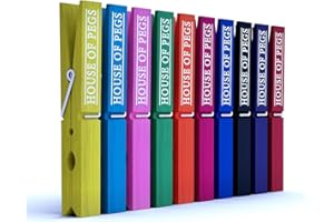 THE BARKWORTH & HATHAWAY COLLECTION Wooden Clothes Pegs (100 Pack, 10 cm) – Multi-Coloured Birch Wood Clips for Arts & Crafts, Photo Displays, DIY Projects & Gift Wrapping | Reusable Eco Pegs by Barkworth & Hathaway