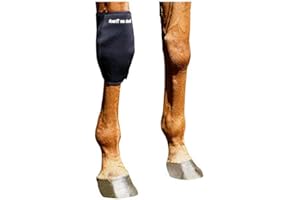 Back on Track Karpalgelenkschoner, rechts