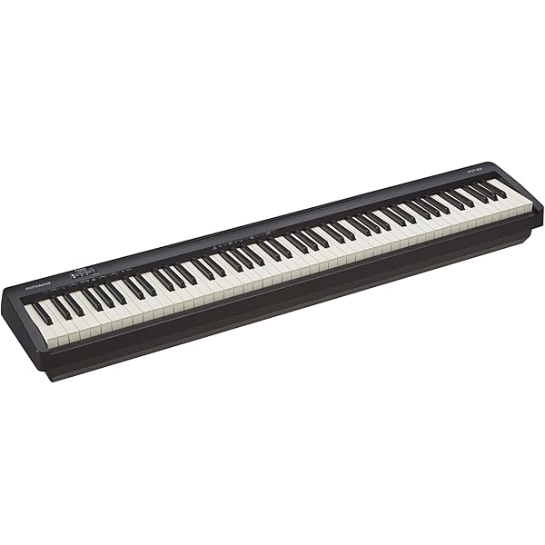 Roland KSCFP10 Stand for FP-10 Digital Piano, Black : Amazon.de 