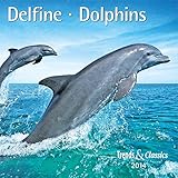 Delfine - Dolphins 2014. Trends & Classics Kalender by 