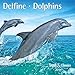 Delfine - Dolphins 2014. Trends & Classics Kalender by 