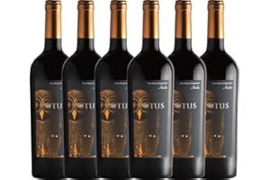 EBANEY Asio Otus Vino Varietale d'Italia von Mondo del Vino - Rotwein 6 x 0,75l VINELLO - 6er - Weinpaket inkl. kostenlosem VINELLO.weinausgießer