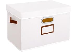OUTBROS Boîte de Rangement Pliables, Paniers avec Couvercle et Poignées, Cube en Tissu Lavable, pour Vêtement, Magazine pour Maison (Blanc, 33 x 23 x 20 cm)