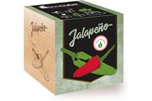 Feel Green Ecocube Piment Jalapeño (Force du Chili 4), Idée Cadeau (100% Ecologique), Grow-Your-Own/Kit Prêt-à-Pousser, Plantes Dans Des Cubes En Bois 7.5cm, Produit En Autriche