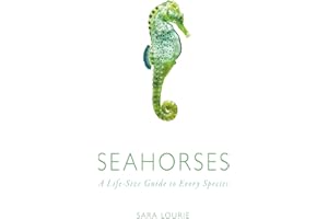 Seahorses: A Life-Size Guide to Every Species