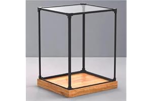Transparent vitrinskåp, Akryldisplay for samlarföremål i flera storlekar(30x30x55cm(12x12x22in))