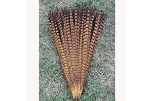 ESOES 10 plumas de faisán de la naturaleza de 30-35 cm plumas de cola para manualidades o decoración (dorado)